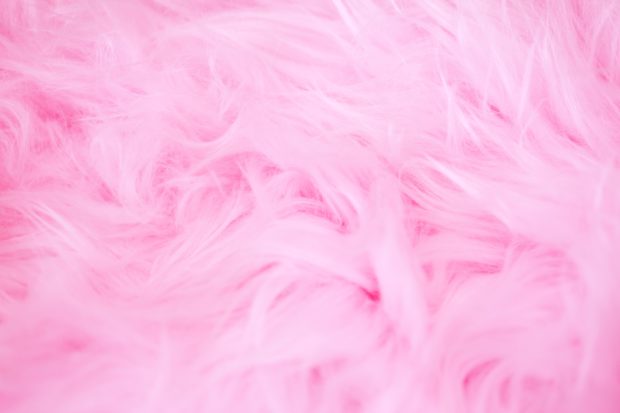 Pink feathers - Photo by Sharon McCutcheon on Unsplash